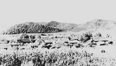 Stake����-�����ɾͷǷ�,����Ʒ������